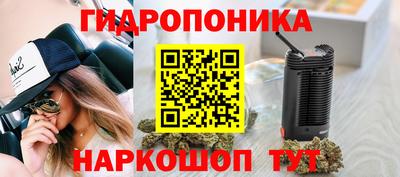 стаф Гусиноозёрск