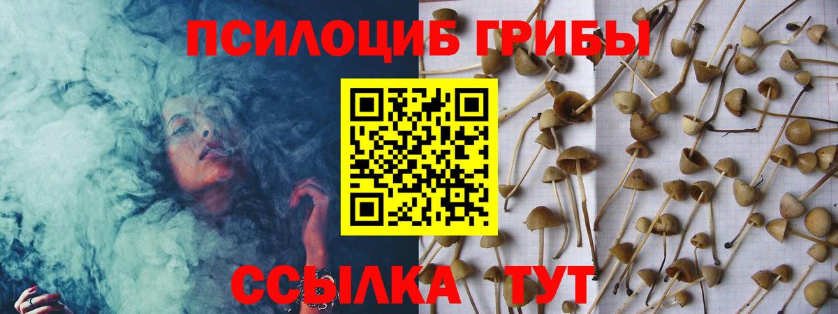 Медногорск  Псилоцибиновые грибы мухоморы  Вход с VPN 